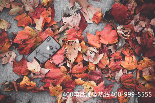 (400電話申請費用)(400電話申請需要多少錢)
