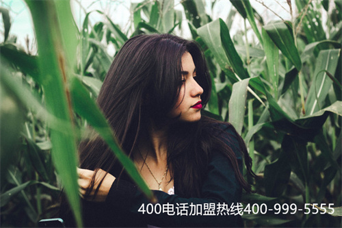 (400電話功能的特點)(400電話功能的特點)