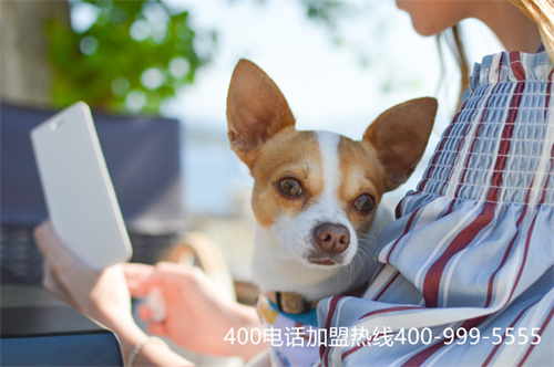 400電話辦理需要什么資料,辦理400電話的收費(fèi)標(biāo)準(zhǔn)